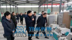 政府领导莅临双狮参观指导